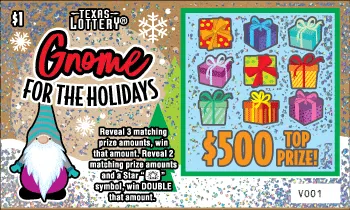 Gnome for the Holidays ticket